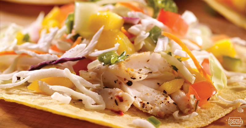 Make these fish tacos with your Iowa catch  |  Iowa DNR